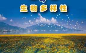 生态系统多样性(湿地与森林海洋并称为地球三大生态)