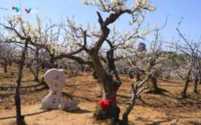 山东省昌邑市(文化旅游消费试点城市方案)