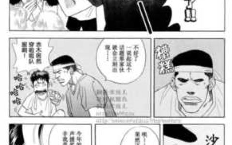 灌篮高手大结局漫画(流川枫放弃上半场)