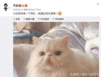 李晨微博微博(李晨微博新浪微博微博)插图7 李晨微博透露大秘密,他已经有小孩了,难怪范冰冰说明年当妈