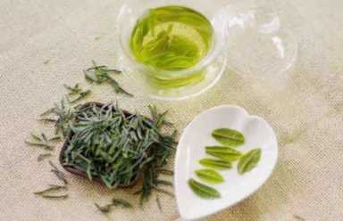 不同的茶不同的功效，你适合哪种茶？