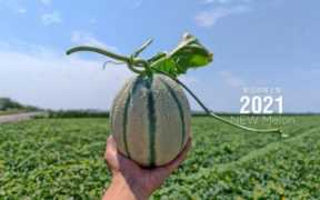 冰雪皇后加盟费及加盟条件，冰雪皇后珍珠和王妃款哪个好看