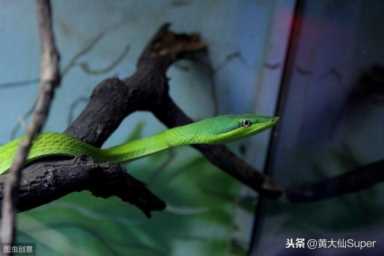 【创业智慧】小本创业成功步骤