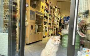 如何选择一个创业项目,如何选择赚钱的好项目