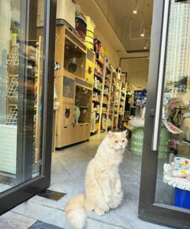 如何选择一个创业项目,如何选择赚钱的好项目插图1 到底什么创业项目才适合创业,我总结了几点……