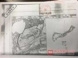 男子花百万元买法拍商铺，没想到有一半被出租，租约30年……