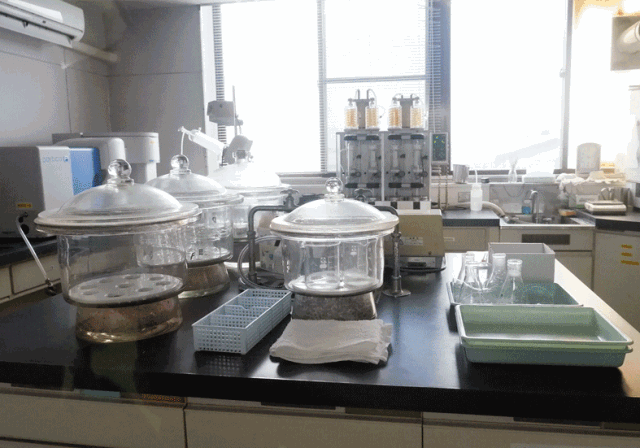 味千拉面专注“大骨熬汤”，中央工厂是新出路？