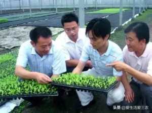 22个适合乡镇做的生意,农村的赚钱的项目有哪些插图11 农村有哪些闷声发大财的暴利生意?