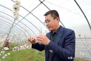 22个适合乡镇做的生意,农村的赚钱的项目有哪些插图9 农村有哪些闷声发大财的暴利生意?