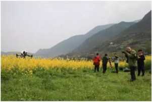 小本经营农村创业致富项目，人气旺，回报快！