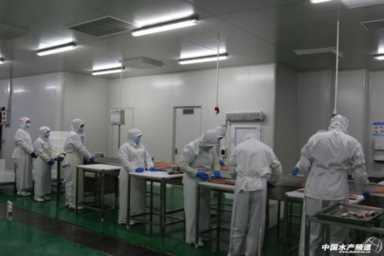 北方首家三文鱼生食加工厂，聚焦北京和天津市场，他们开启了三文鱼分销新模式