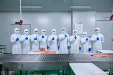 北方首家三文鱼生食加工厂，聚焦北京和天津市场，他们开启了三文鱼分销新模式