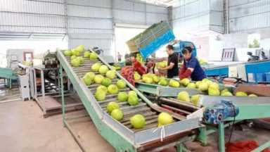 农村创业国家扶持项目有哪些,一亩田农产品行情插图5 创业扶持!一亩田启动中国乡村创业大王评选,帮你对接资源解难题