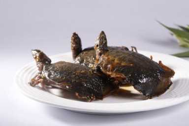 农村养殖业致富项目,特种养殖什么好养又赚钱插图1 现在农村搞养殖,养什么比较好?