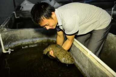 农村养殖业致富项目,特种养殖什么好养又赚钱插图9 现在农村搞养殖,养什么比较好?