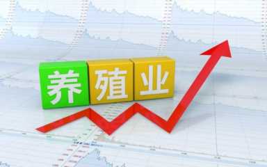 农村养殖业致富项目,特种养殖什么好养又赚钱插图23 现在农村搞养殖,养什么比较好?