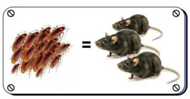 家有蟑螂出没的看过来！每天仅需3分钱，除掉蟑螂，让你安心！