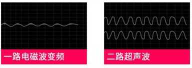 家有蟑螂出没的看过来！每天仅需3分钱，除掉蟑螂，让你安心！
