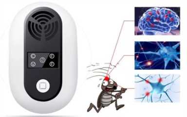 家有蟑螂出没的看过来！每天仅需3分钱，除掉蟑螂，让你安心！