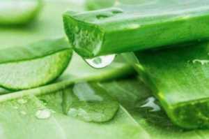 芦荟美容风靡全球，民族品牌芭芭多铸就行业领军地位