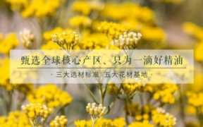 美容加盟品牌,如何选择加盟品牌