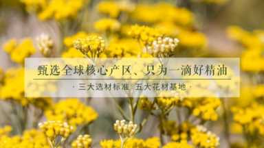 美容店加盟哪个好？佰草智慧加盟确保创业无忧