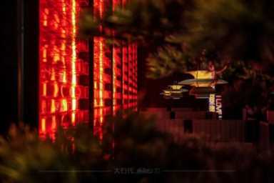 品质场景化餐饮体验，贩卖一种生活方式，太太满庭芳开启美好生活