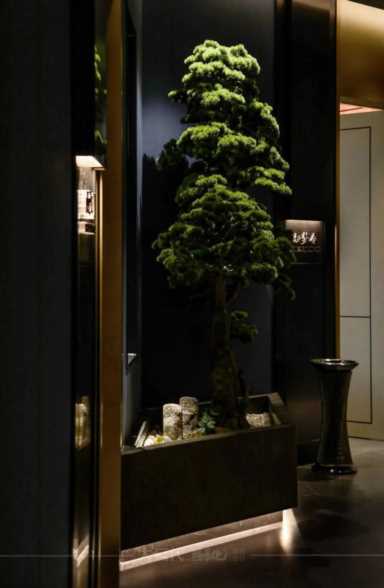 品质场景化餐饮体验，贩卖一种生活方式，太太满庭芳开启美好生活