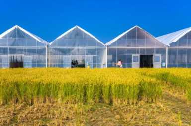 农村致富小项目来钱快,提高农业土地利用率的措施插图3 欠发达的偏远的农村地区,如何利用有限的土地资源,走上致富之路