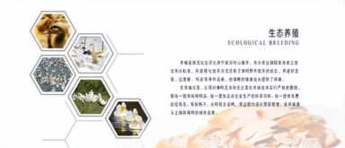 北京烤鸭的悠久历史和吃法,加盟烤鸭店如何投资获利插图1 刘福记北京烤鸭让餐饮加盟更具发展前景