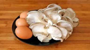 亩收入过万的种植项目,草皮种植前景如何插图1 种植什么还能月入过万?4种种植项目利润很高农民看看