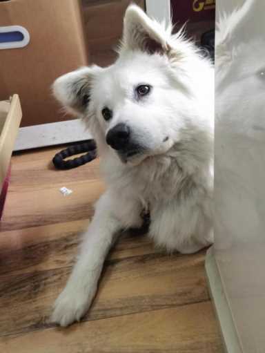 目前最赚钱的行业有哪些,夜市经济商业计划书插图5 2023年最赚钱的七大行业