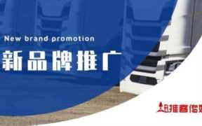 项目推广网站，新品牌营销策划方案