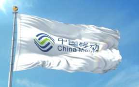 永远不要轻易从中国移动辞职，中国移动属于哪种组织形式