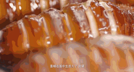 “淄博烧烤”成为新晋顶流？不吹！国内还有这十大烧烤申请出战！