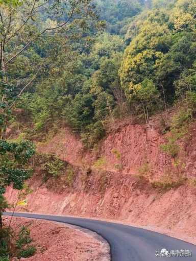中国茶叶品牌十大排名,茶叶的地位和作用插图1 历代“中国十大名茶”大盘点!最新版的“十大名茶”你都知道吗?