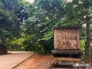 中国茶叶品牌十大排名,茶叶的地位和作用插图15 历代“中国十大名茶”大盘点!最新版的“十大名茶”你都知道吗?