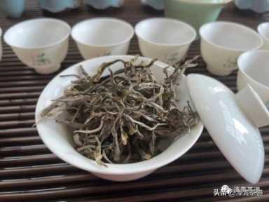 中国茶叶品牌十大排名,茶叶的地位和作用插图31 历代“中国十大名茶”大盘点!最新版的“十大名茶”你都知道吗?