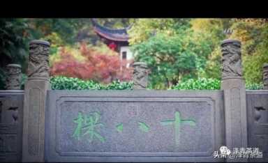 中国茶叶品牌十大排名,茶叶的地位和作用插图49 历代“中国十大名茶”大盘点!最新版的“十大名茶”你都知道吗?