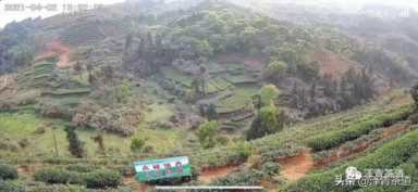 中国茶叶品牌十大排名,茶叶的地位和作用插图99 历代“中国十大名茶”大盘点!最新版的“十大名茶”你都知道吗?