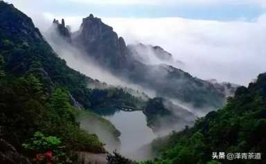 中国茶叶品牌十大排名,茶叶的地位和作用插图97 历代“中国十大名茶”大盘点!最新版的“十大名茶”你都知道吗?