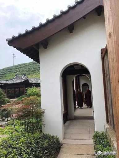 中国茶叶品牌十大排名,茶叶的地位和作用插图111 历代“中国十大名茶”大盘点!最新版的“十大名茶”你都知道吗?