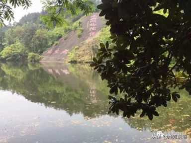 中国茶叶品牌十大排名,茶叶的地位和作用插图121 历代“中国十大名茶”大盘点!最新版的“十大名茶”你都知道吗?