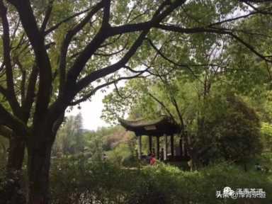 中国茶叶品牌十大排名,茶叶的地位和作用插图119 历代“中国十大名茶”大盘点!最新版的“十大名茶”你都知道吗?