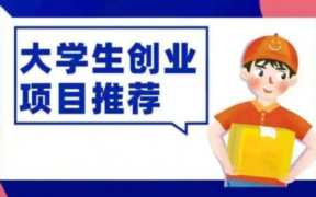 校园创新创业项目点子,美团在学校的推广方案