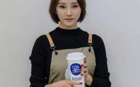 避风塘奶茶:避风塘奶茶加盟条件