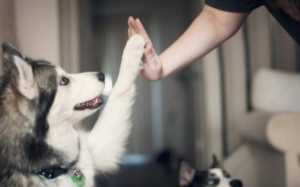 加盟店排行榜_2020年加盟店排行榜_加盟店10大品牌