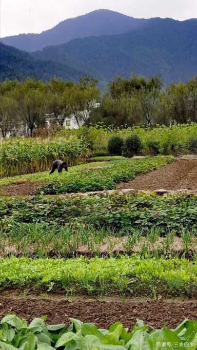 13个农村暴利小生意（最适合农村人做的10种小生意）