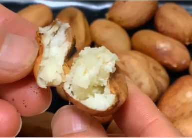 菠萝蜜的核能吃吗,菠萝蜜的核用盐水煮过后能吃吗插图3 菠萝蜜核别再丢垃圾桶了,学会它的3种吃法,比吃红薯和板栗都香