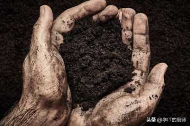 腐殖土加工厂发展趋势,蚯蚓养殖失败的经历插图1 农村创业新宠:开设腐殖土加工厂,小投资年赚100万!